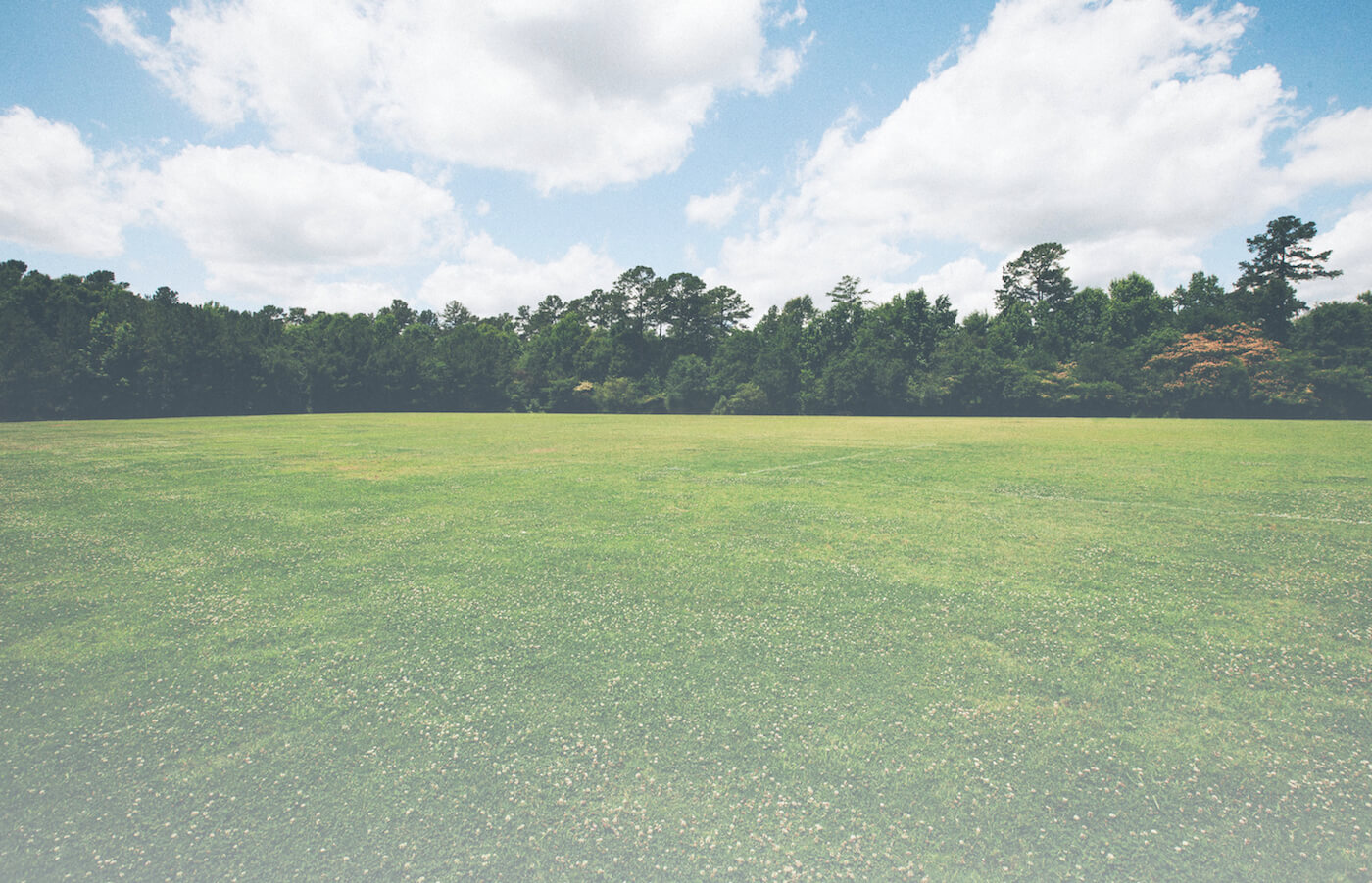 An open, tree-lined grass field with blue sky and clouds.