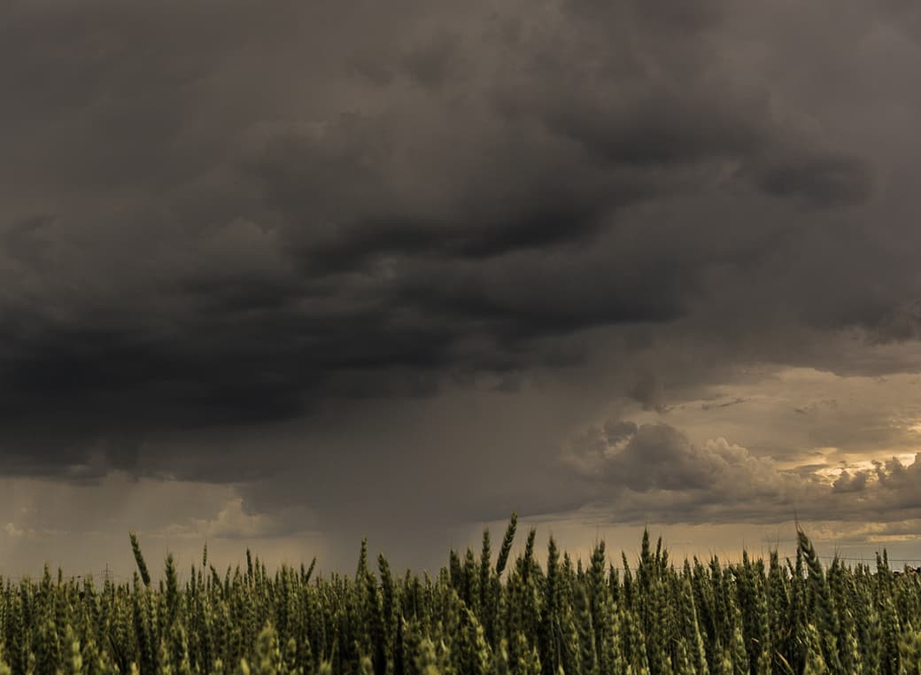 Dark storm clouds over grass field