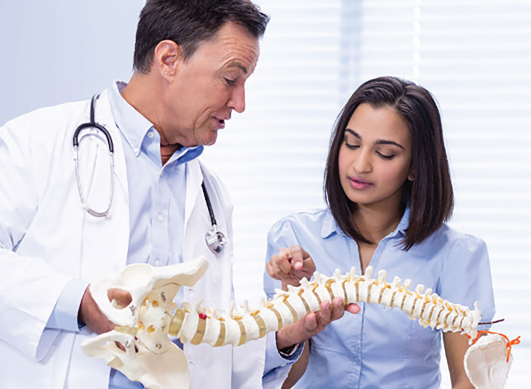 Male doctor with female patient looking at a model of a spine.